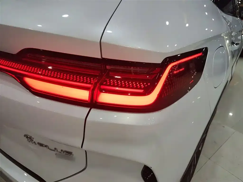 BYD PLUS New Energy 2025 из CN, фото 8