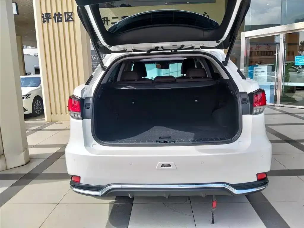 Lexus RX 2022 из CN, фото 6