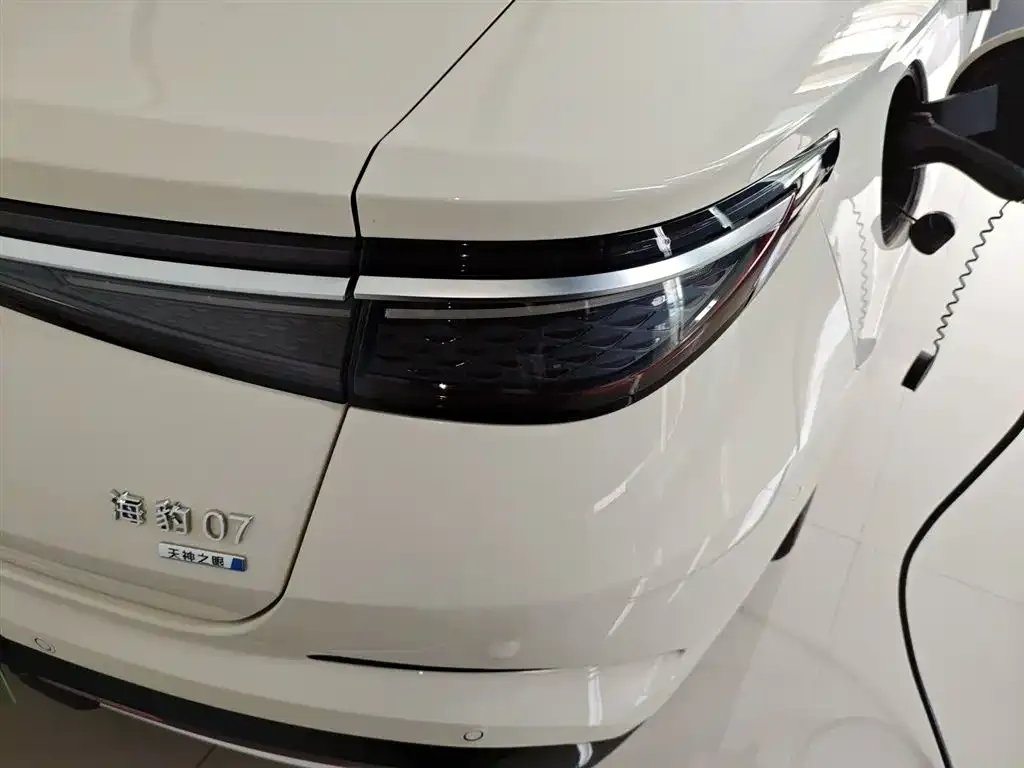 BYD Seal 07 DM-i 2025 из CN, фото 8