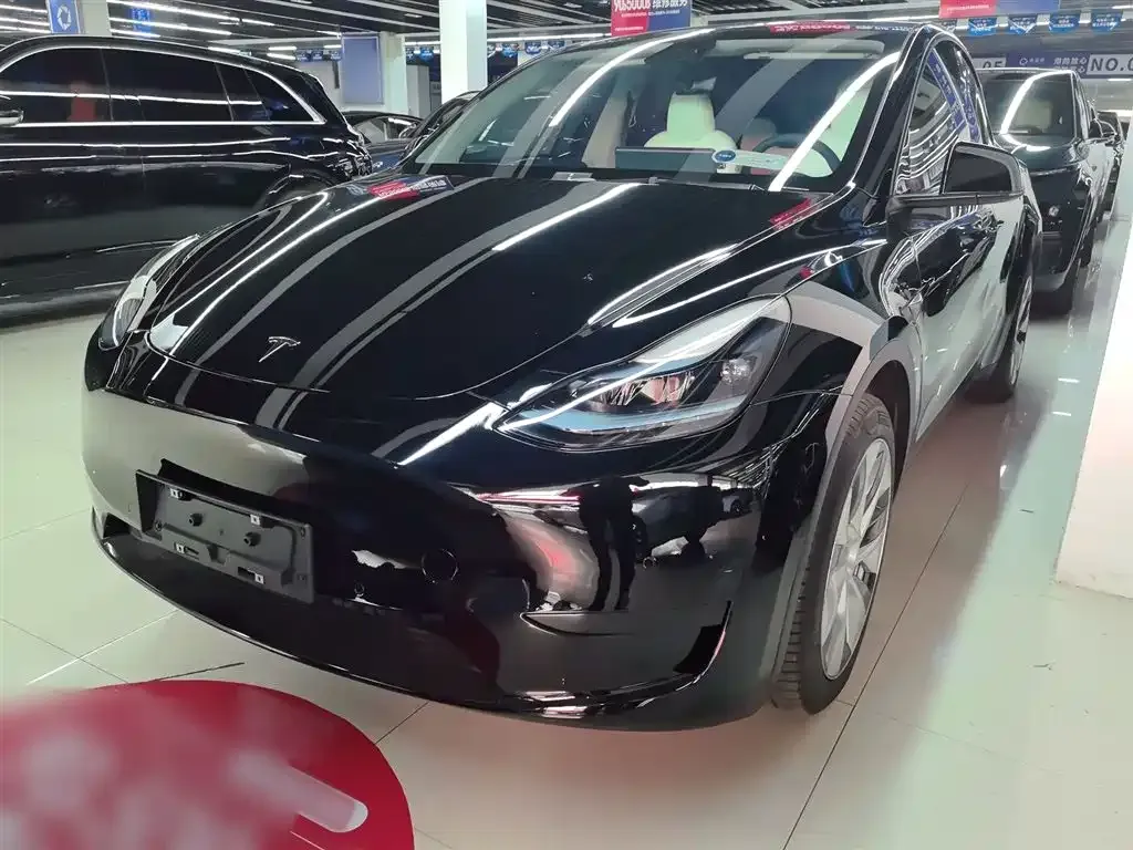 Tesla Model Y — фото 2