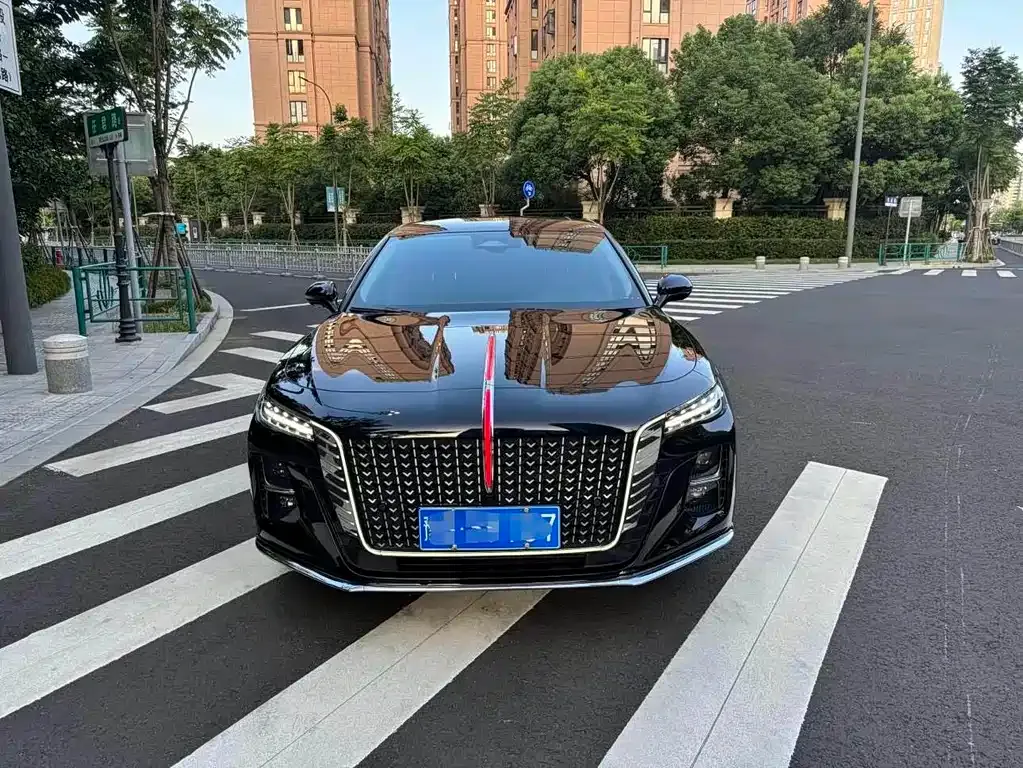 Hongqi H5 2023 из CN, фото 2