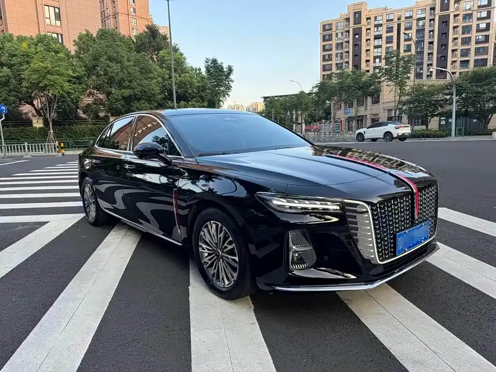 Hongqi H5 2023 из CN, фото 3