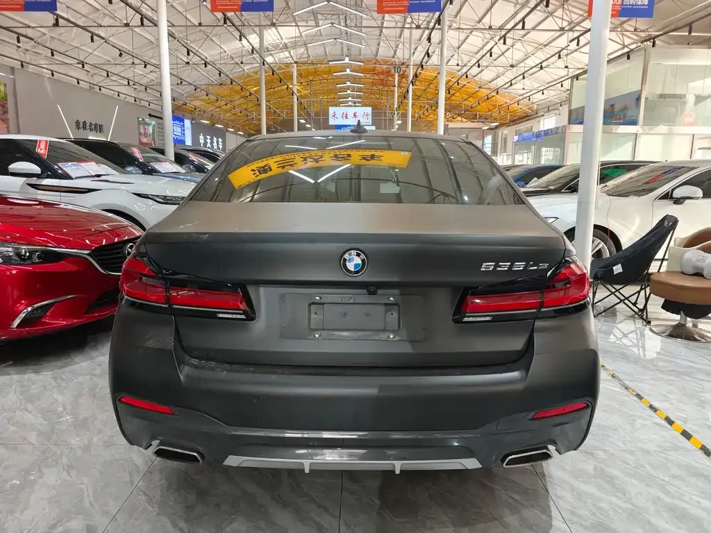 BMW 5 Series New Energy 2021 из CN, фото 6