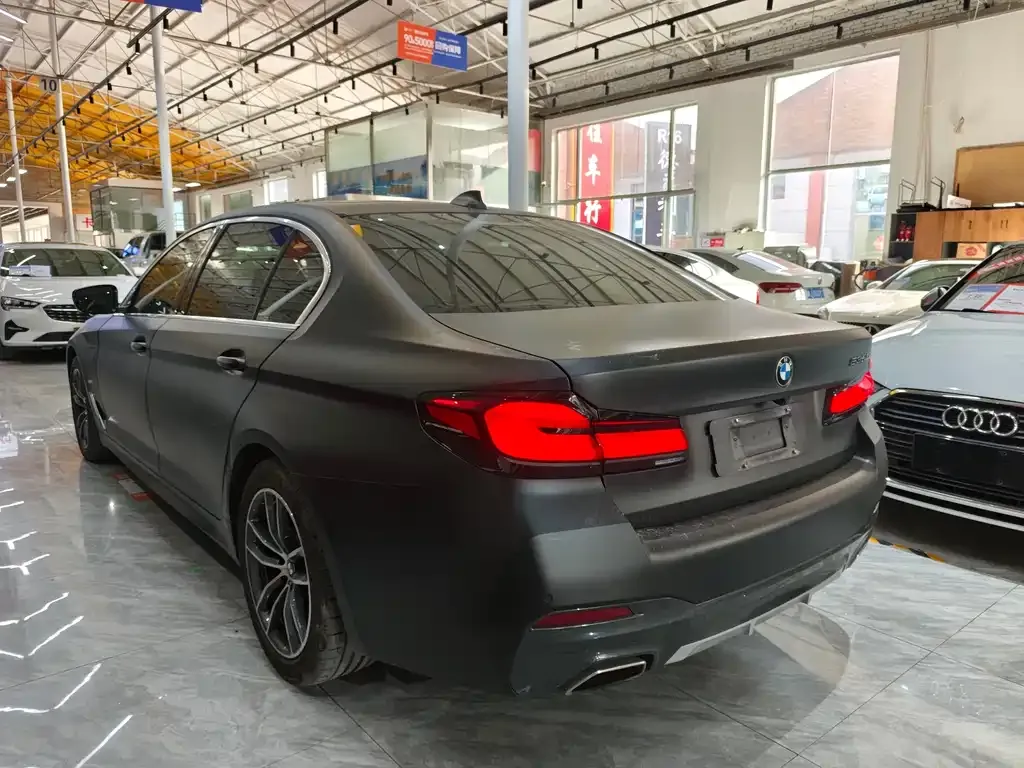 BMW 5 Series New Energy 2021 из CN, фото 7