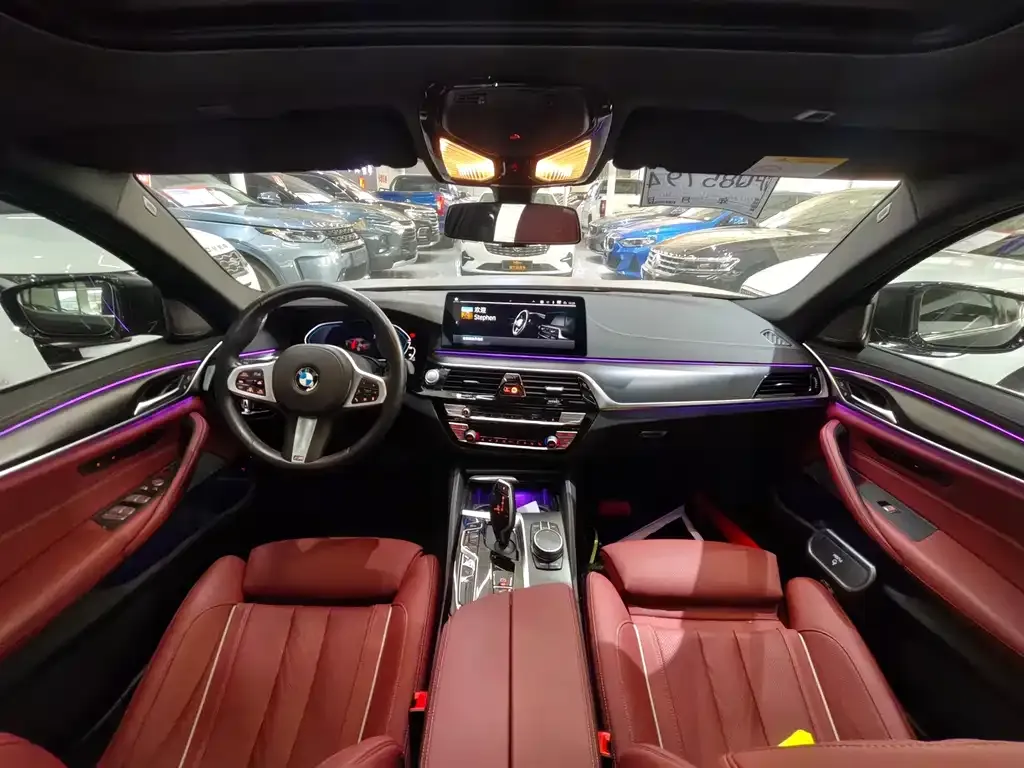 BMW 5 Series New Energy 2021 из CN, фото 9