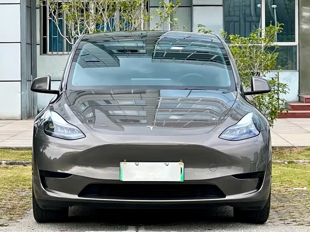 Tesla Model Y 2022 из CN, фото 1