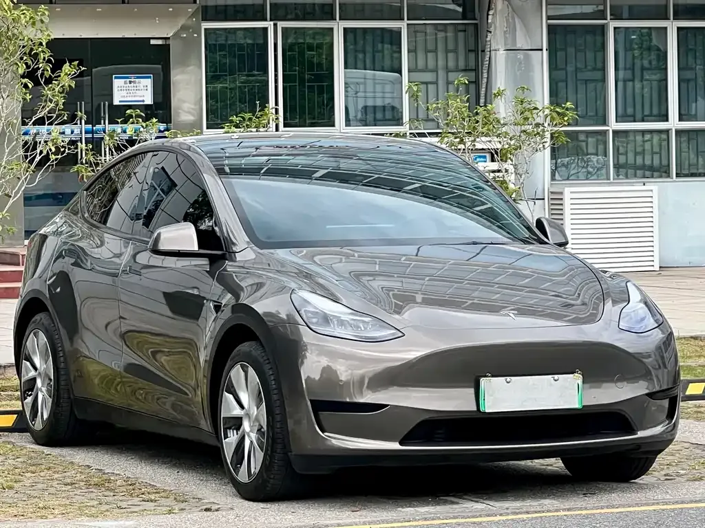 Tesla Model Y 2022 из CN, фото 3