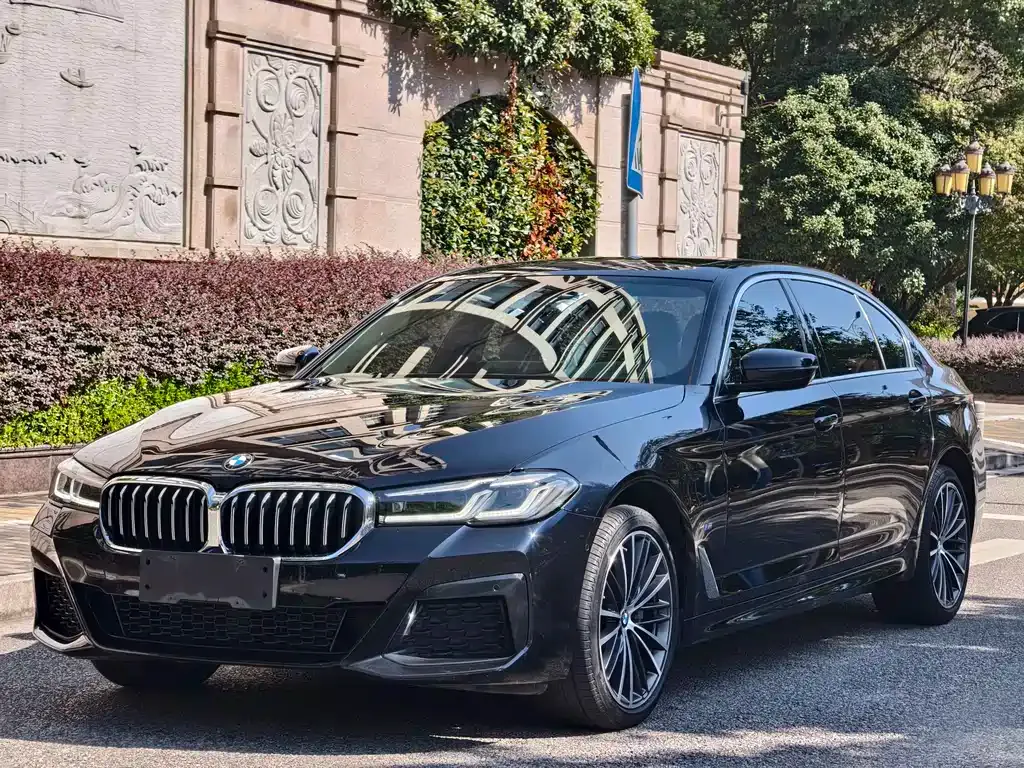 BMW 5 Series 2023 из CN, фото 1