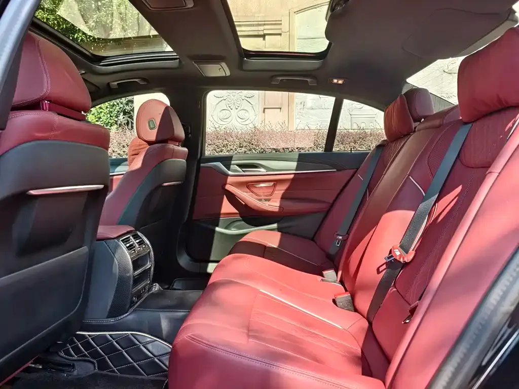 BMW 5 Series 2023 из CN, фото 10