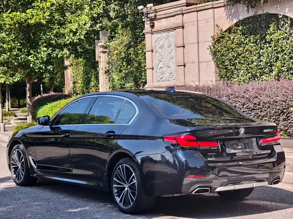 BMW 5 Series 2023 из CN, фото 5