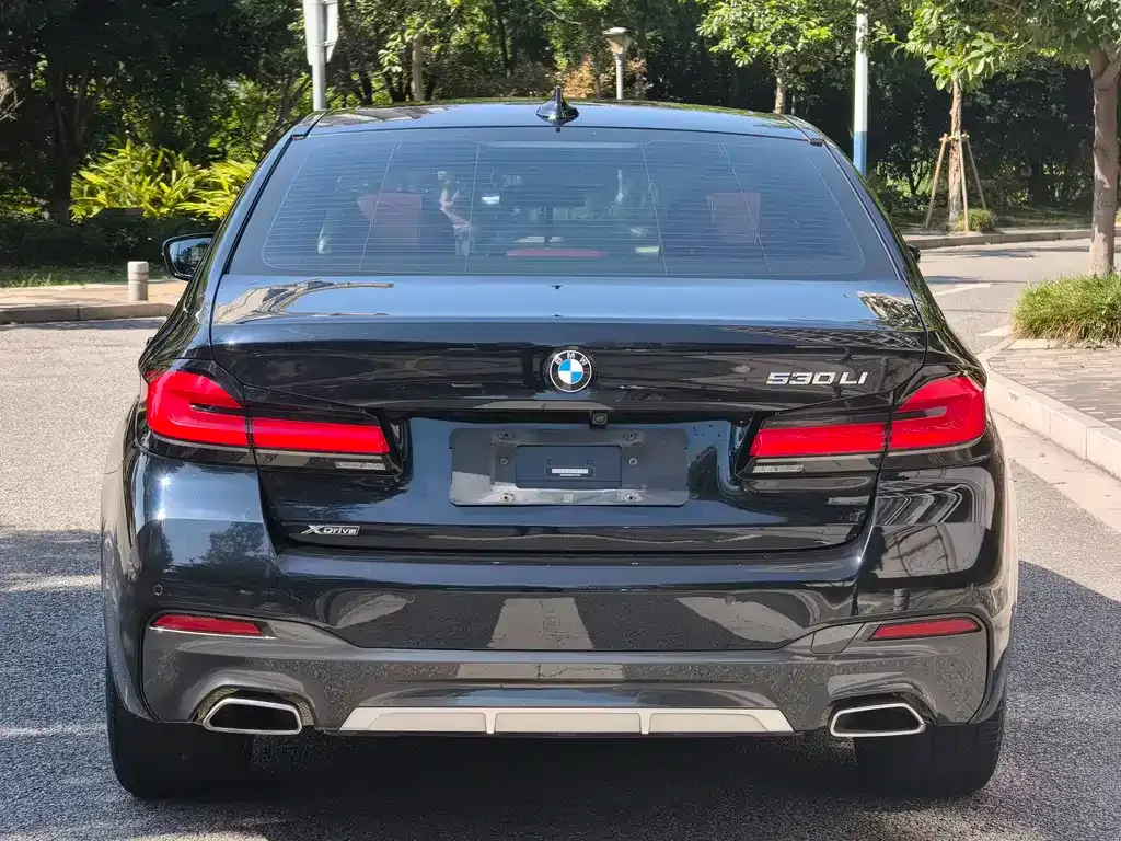 BMW 5 Series 2023 из CN, фото 6
