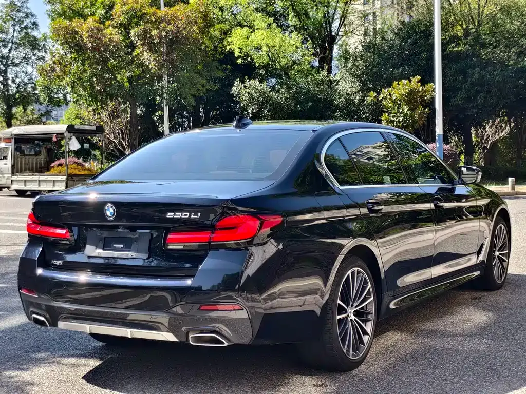 BMW 5 Series 2023 из CN, фото 7