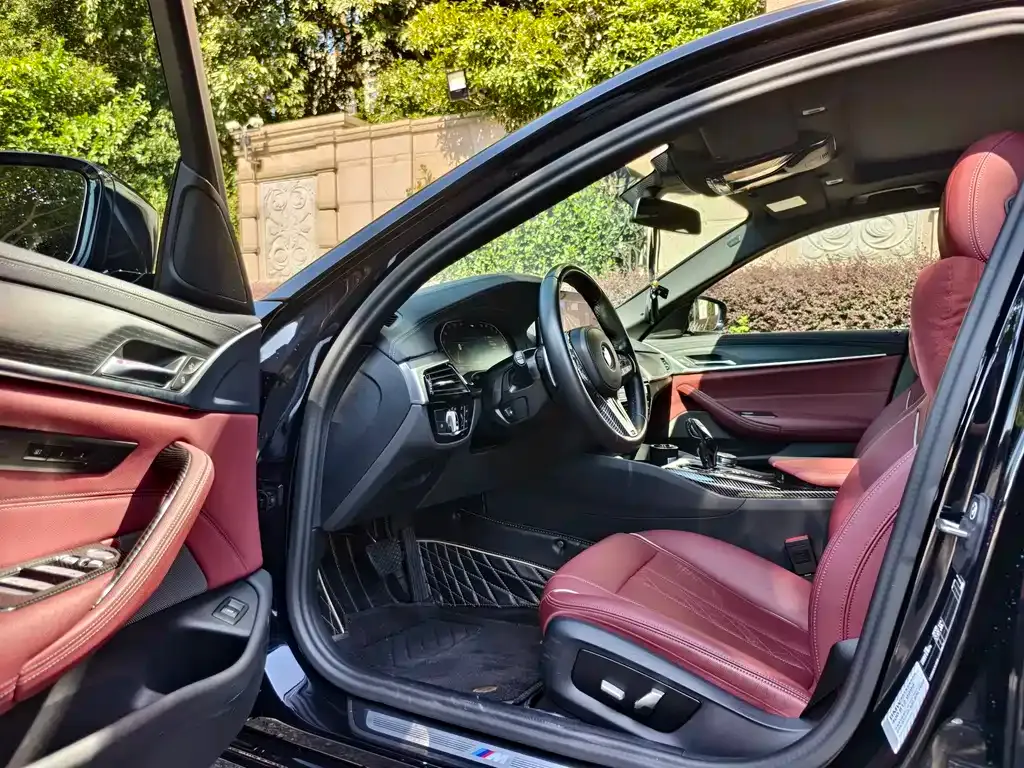 BMW 5 Series 2023 из CN, фото 8