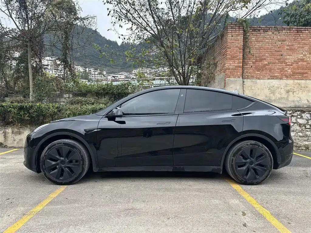 Tesla Model Y 2024 из CN, фото 5