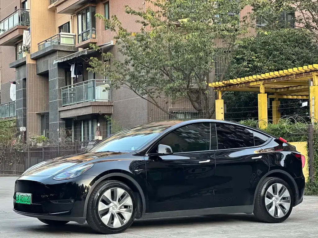 Tesla Model Y — фото 1