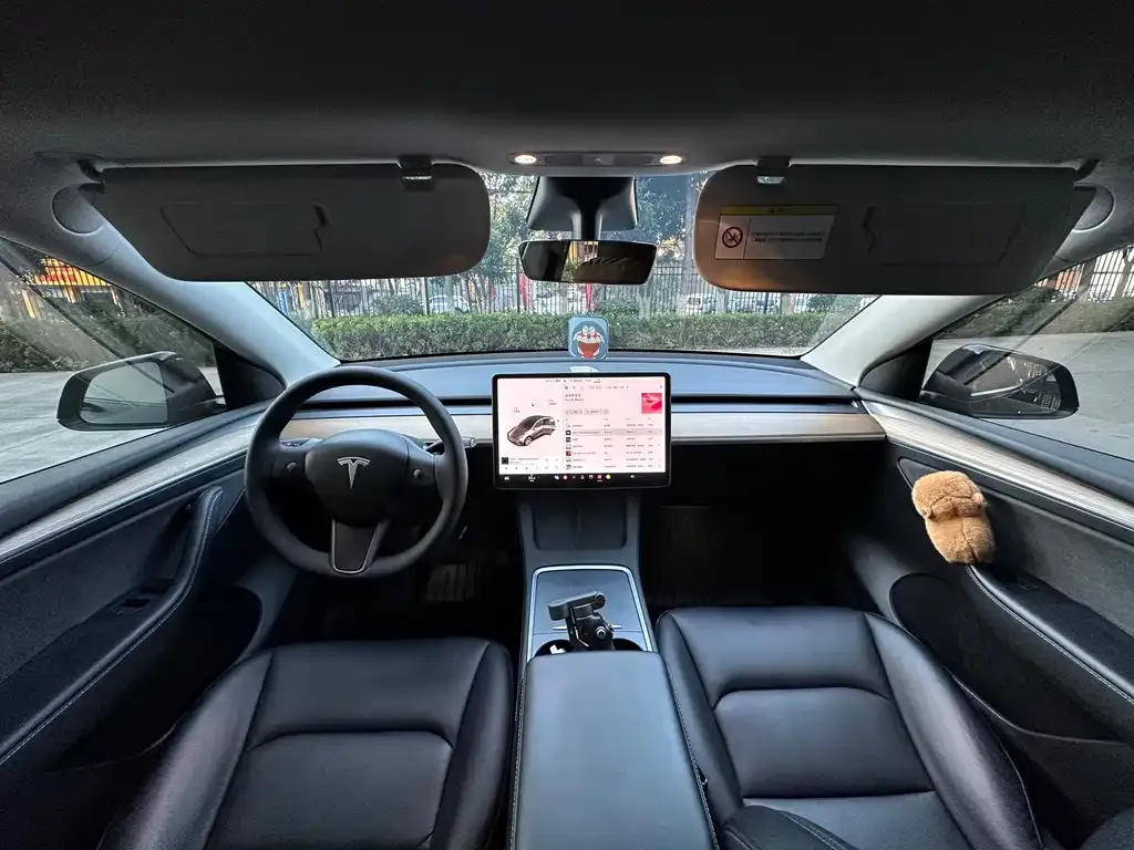 Tesla Model Y — фото 10