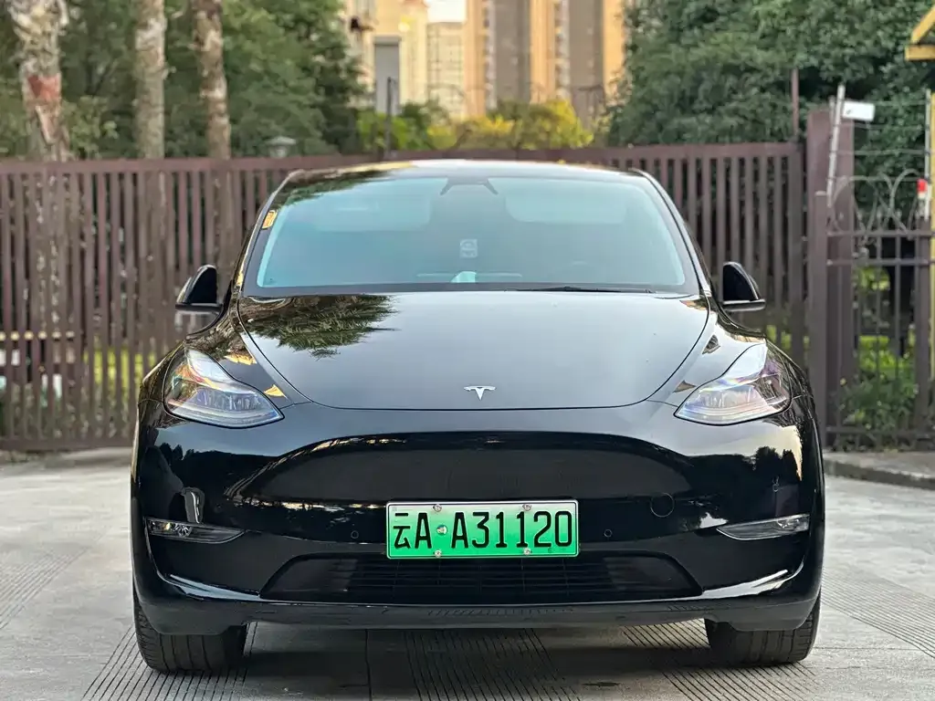 Tesla Model Y — фото 2
