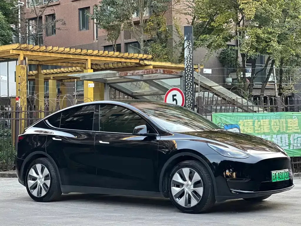 Tesla Model Y — фото 3
