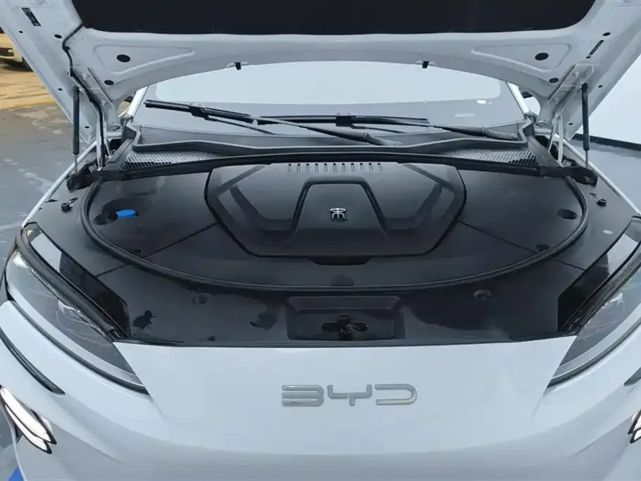 BYD PLUS New Energy 2023 из CN, фото 10
