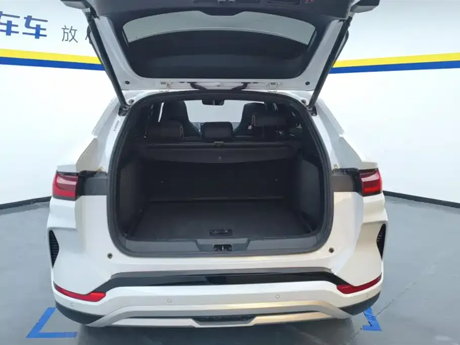 BYD PLUS New Energy 2023 из CN, фото 4