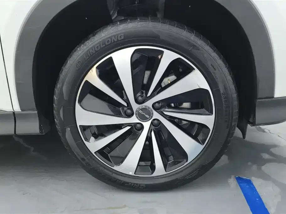 BYD PLUS New Energy 2023 из CN, фото 6