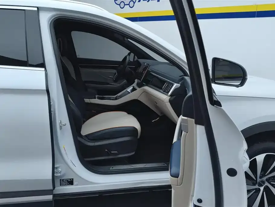 BYD PLUS New Energy 2023 из CN, фото 8