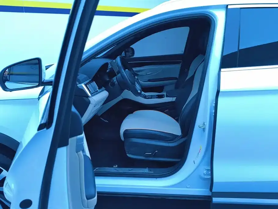 BYD PLUS New Energy 2023 из CN, фото 9
