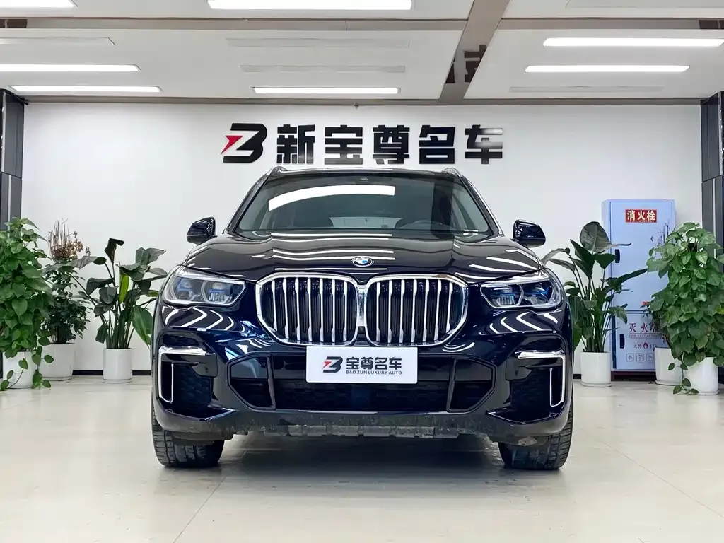 BMW X5 2023 из CN, фото 2