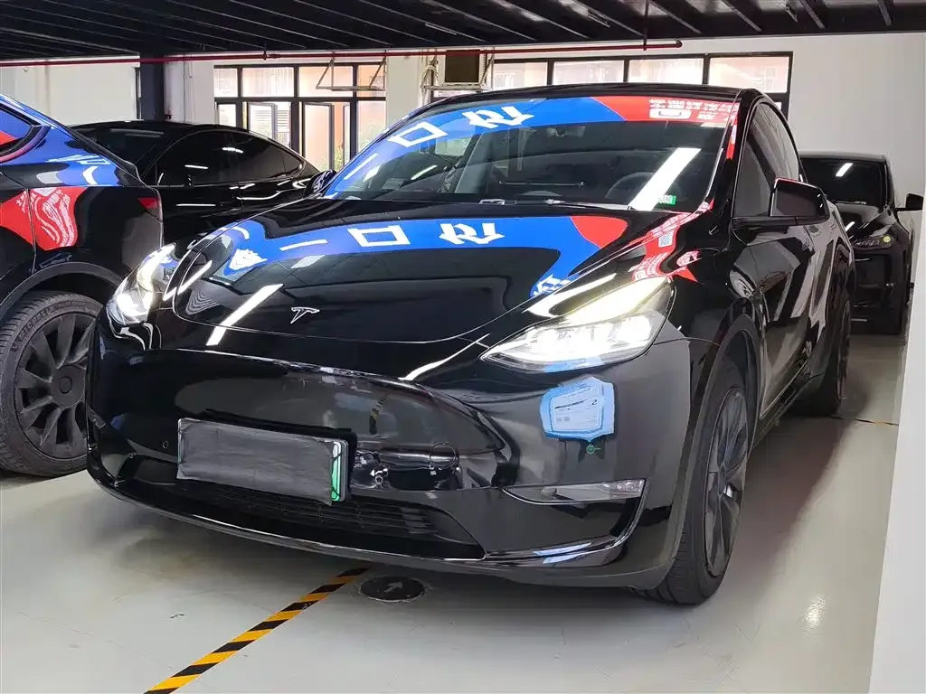 Tesla Model Y 2021 из CN, фото 1