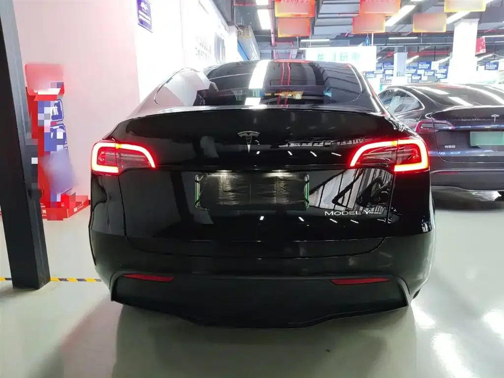 Tesla Model Y 2021 из CN, фото 6