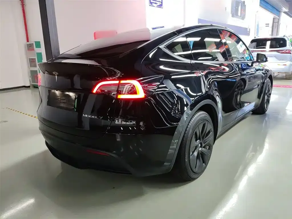 Tesla Model Y 2021 из CN, фото 7