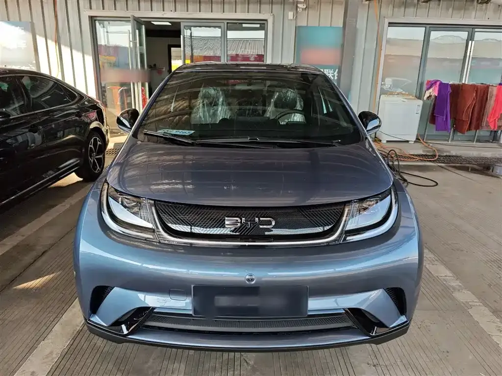 BYD Dolphin 2025 из CN, фото 3