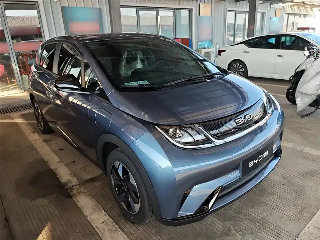 BYD Dolphin 2025 из CN, фото 4