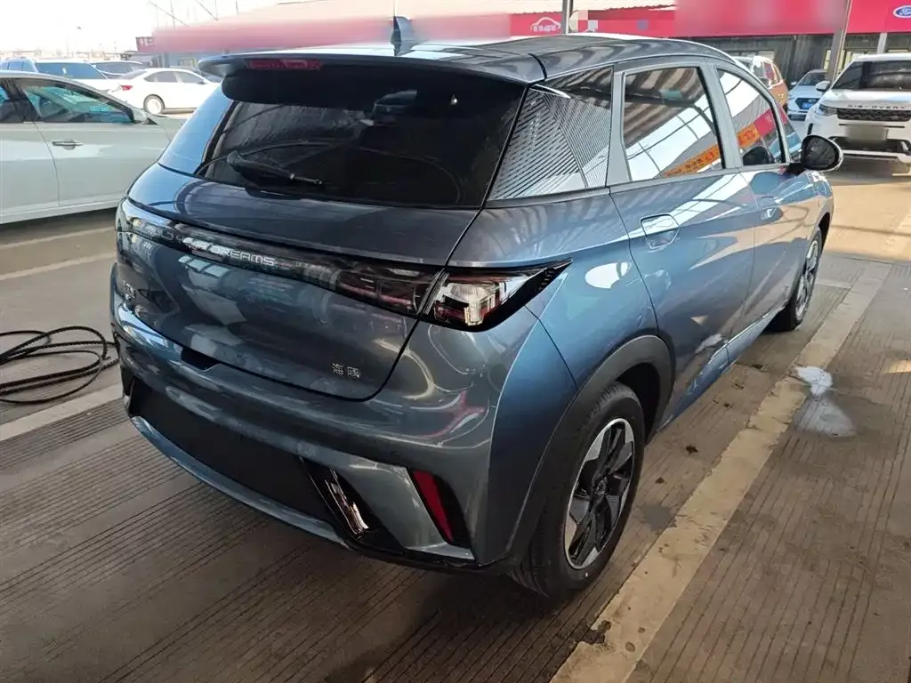 BYD Dolphin 2025 из CN, фото 7