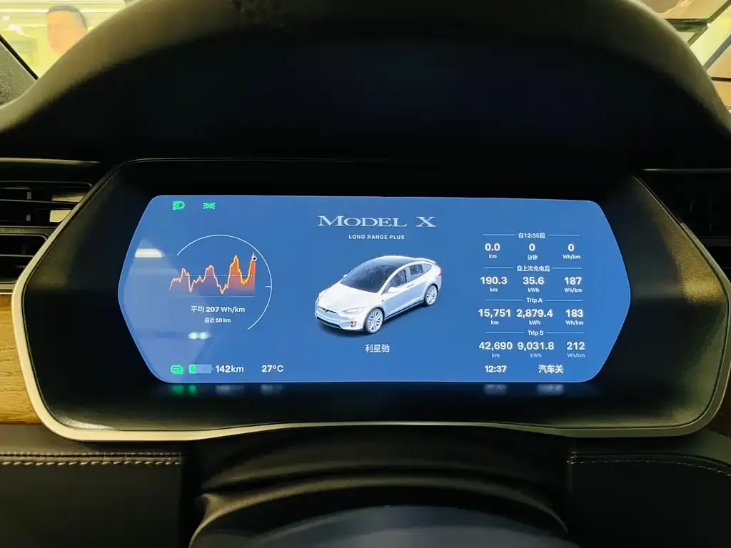 Tesla Model X 2021 из CN, фото 10