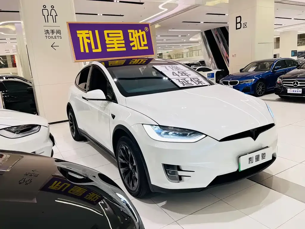 Tesla Model X 2021 из CN, фото 2