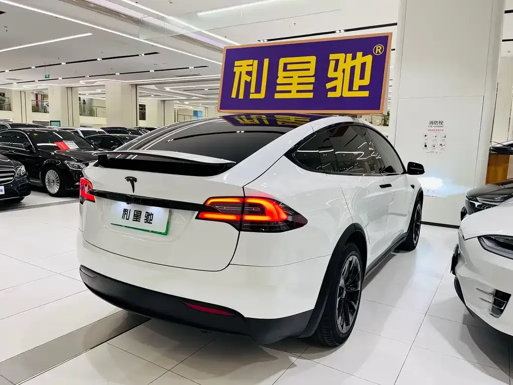 Tesla Model X 2021 из CN, фото 3