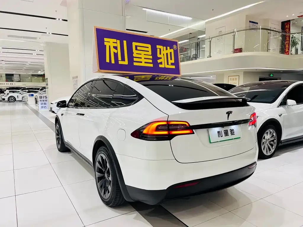Tesla Model X 2021 из CN, фото 4