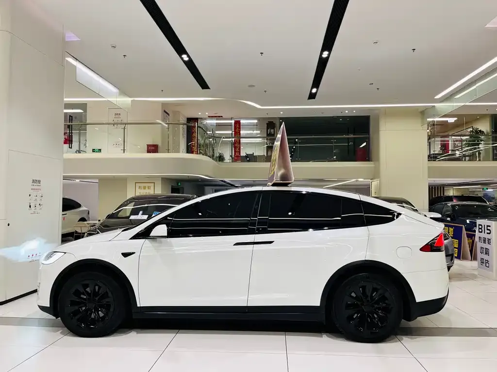Tesla Model X 2021 из CN, фото 6