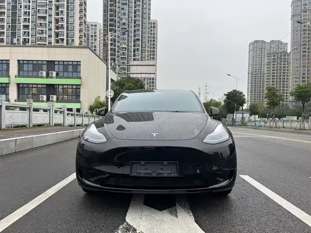 Tesla Model Y 2022 из CN, фото 1