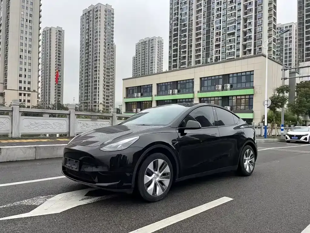Tesla Model Y 2022 из CN, фото 2