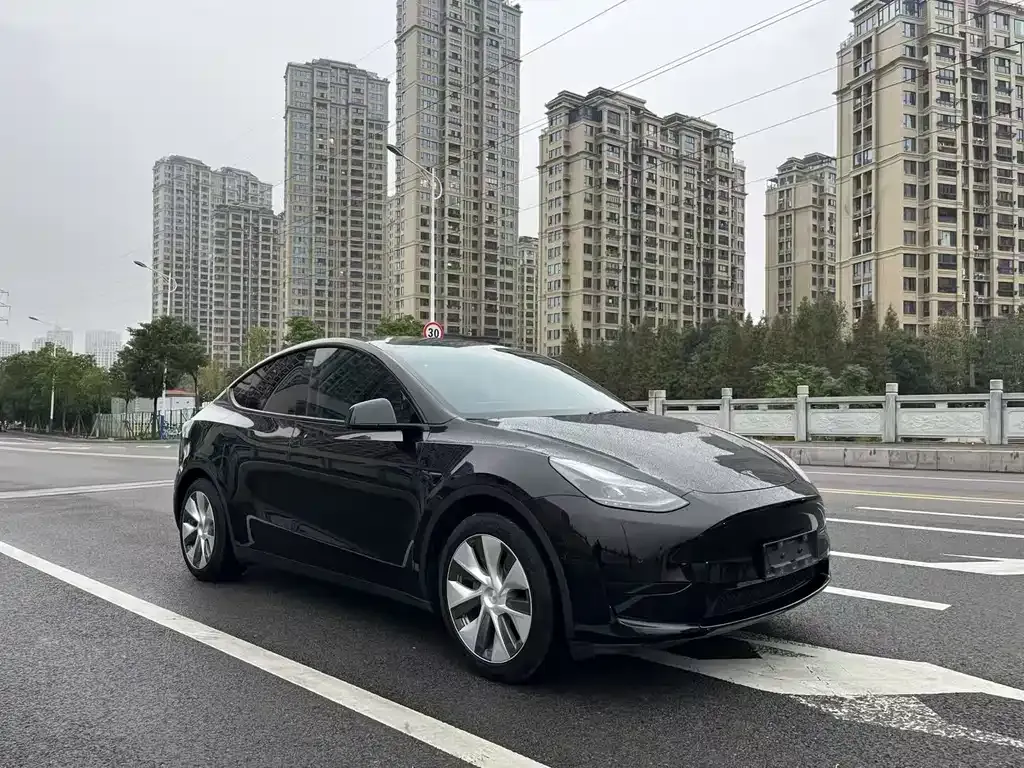 Tesla Model Y 2022 из CN, фото 3