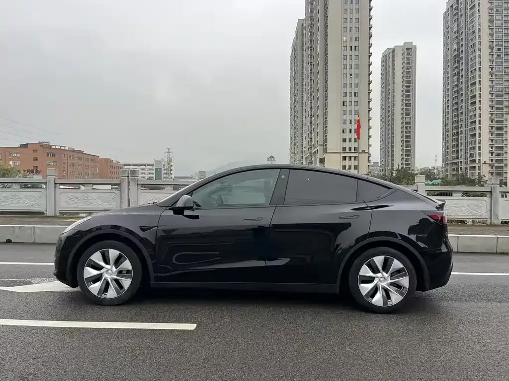 Tesla Model Y 2022 из CN, фото 4