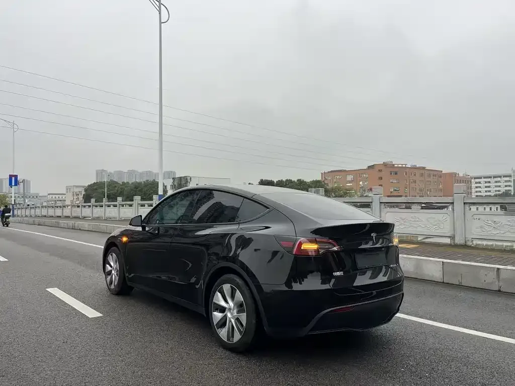 Tesla Model Y 2022 из CN, фото 5