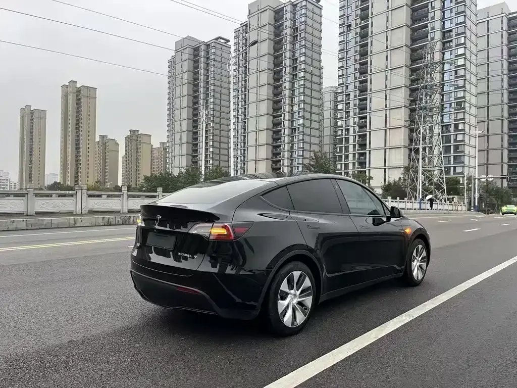 Tesla Model Y 2022 из CN, фото 6