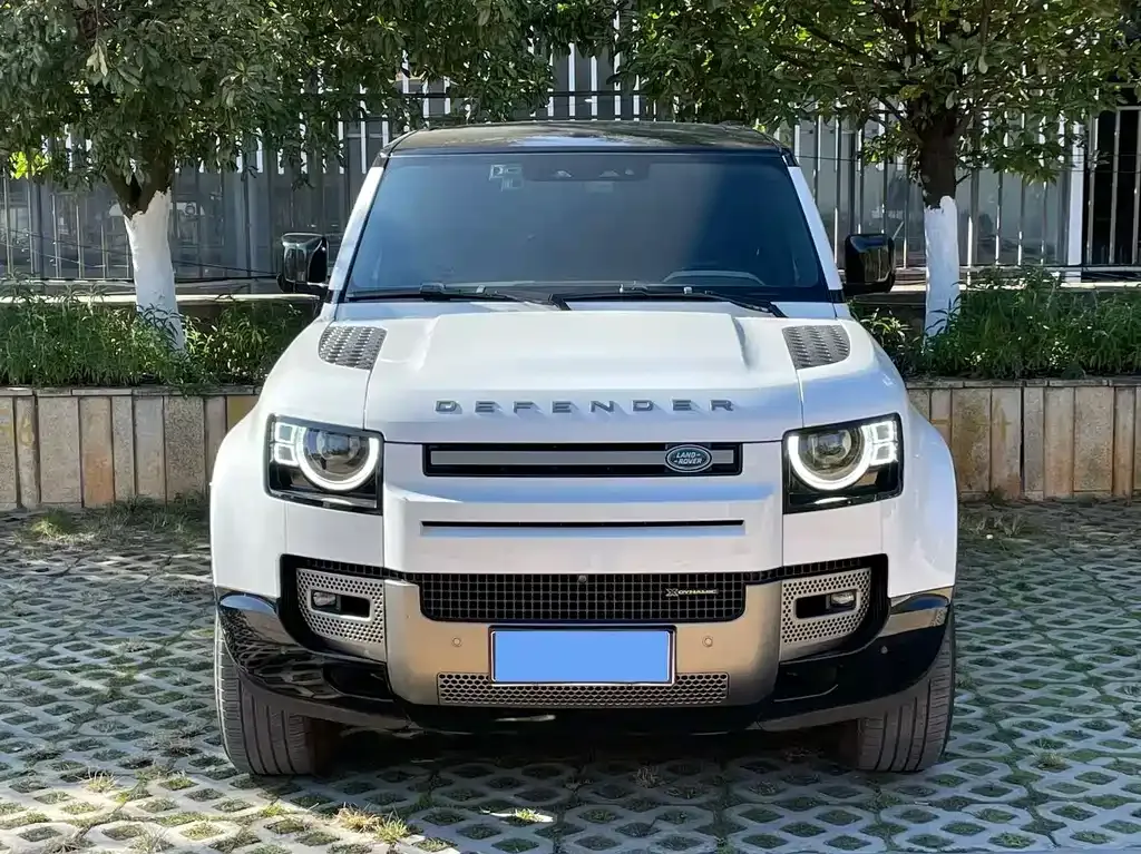 Land Rover Defender 2023 из CN, фото 2