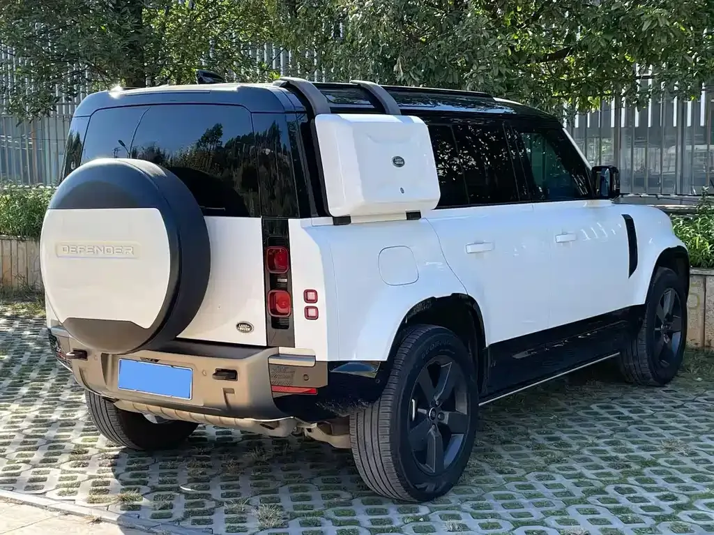 Land Rover Defender 2023 из CN, фото 4