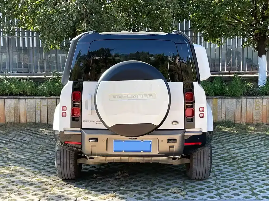 Land Rover Defender 2023 из CN, фото 5