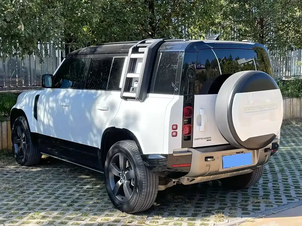 Land Rover Defender 2023 из CN, фото 6
