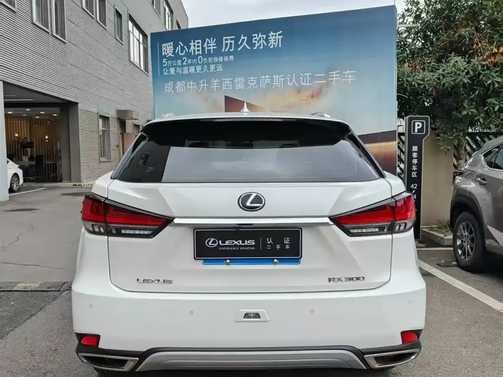 Lexus RX 2021 из CN, фото 3